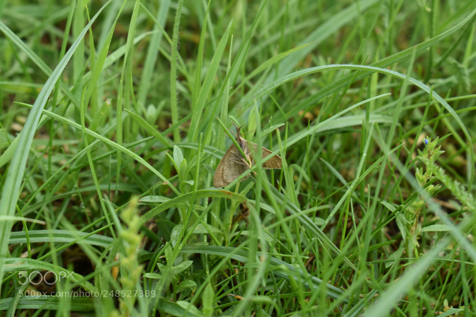 Nikon D3400 sample photo. Untitled photography