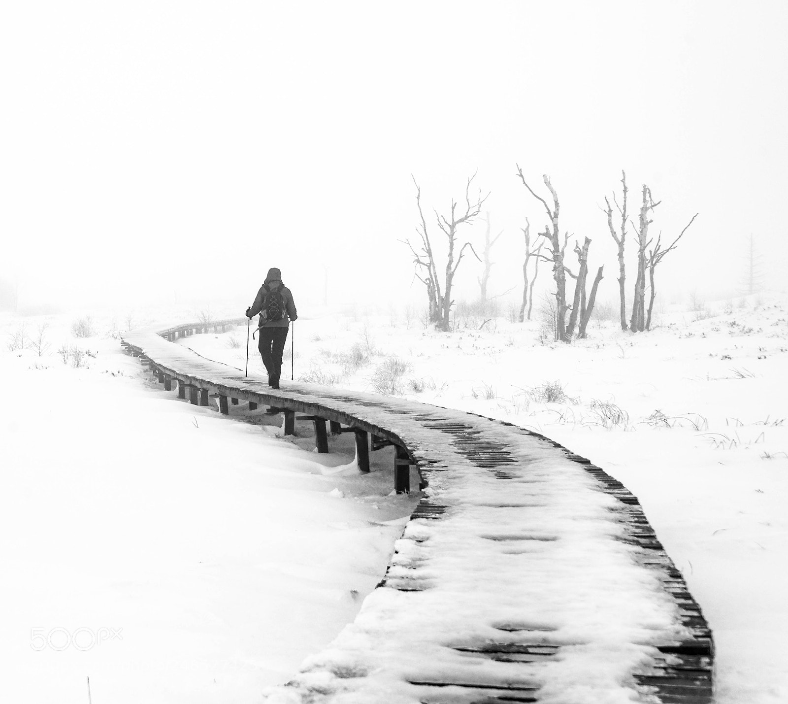 Nikon D610 sample photo. Snow walker photography