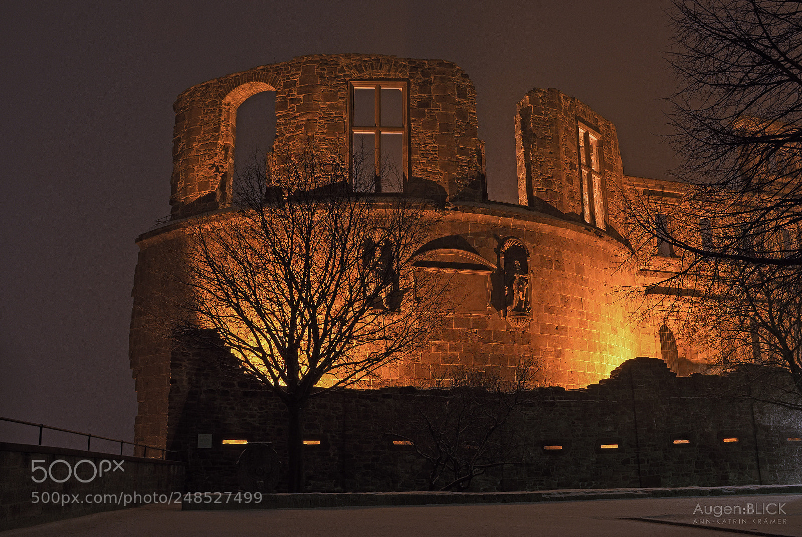 Nikon D7200 sample photo. Heidelberg castle photography