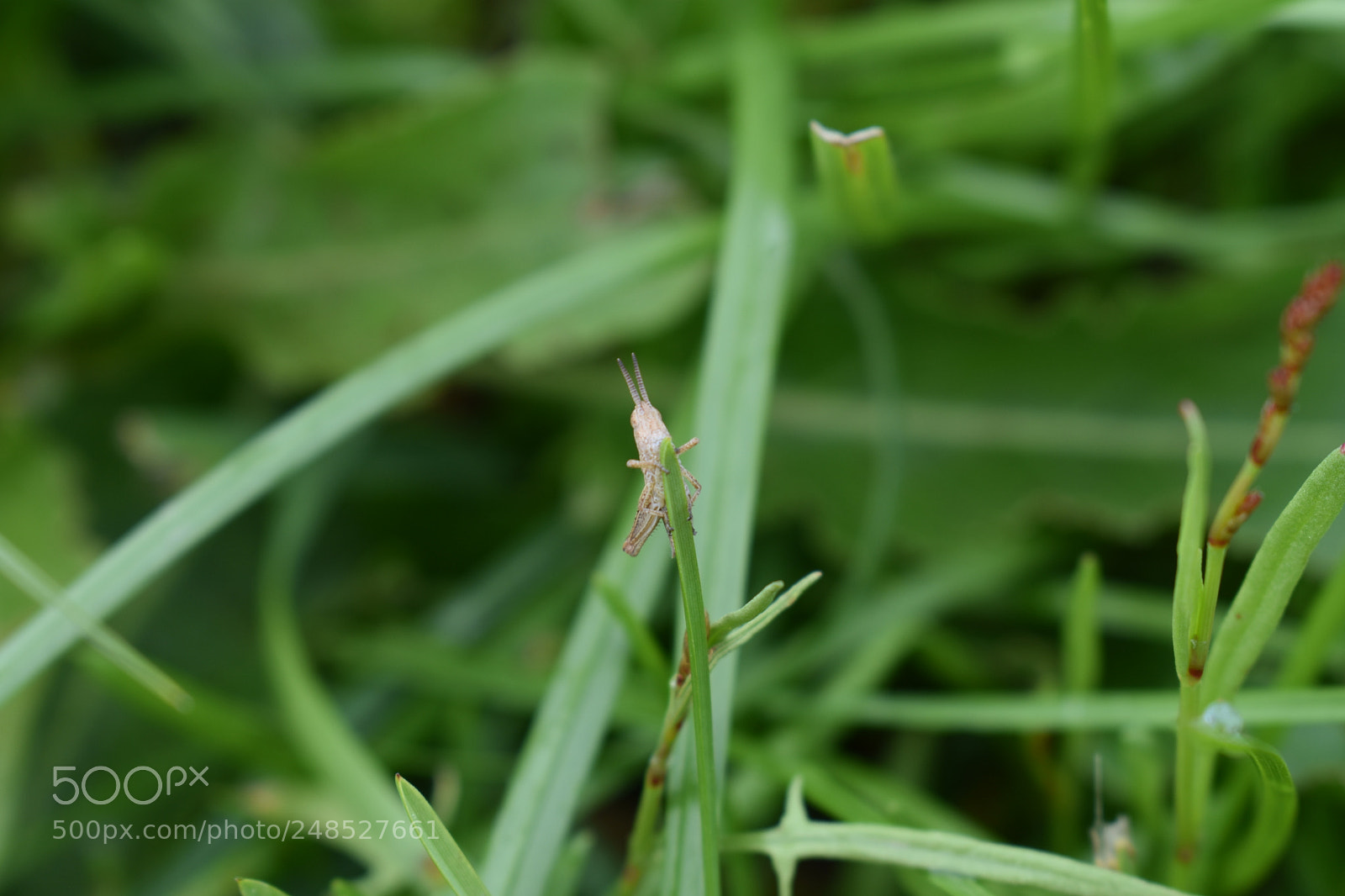 Nikon D3400 sample photo. Untitled photography