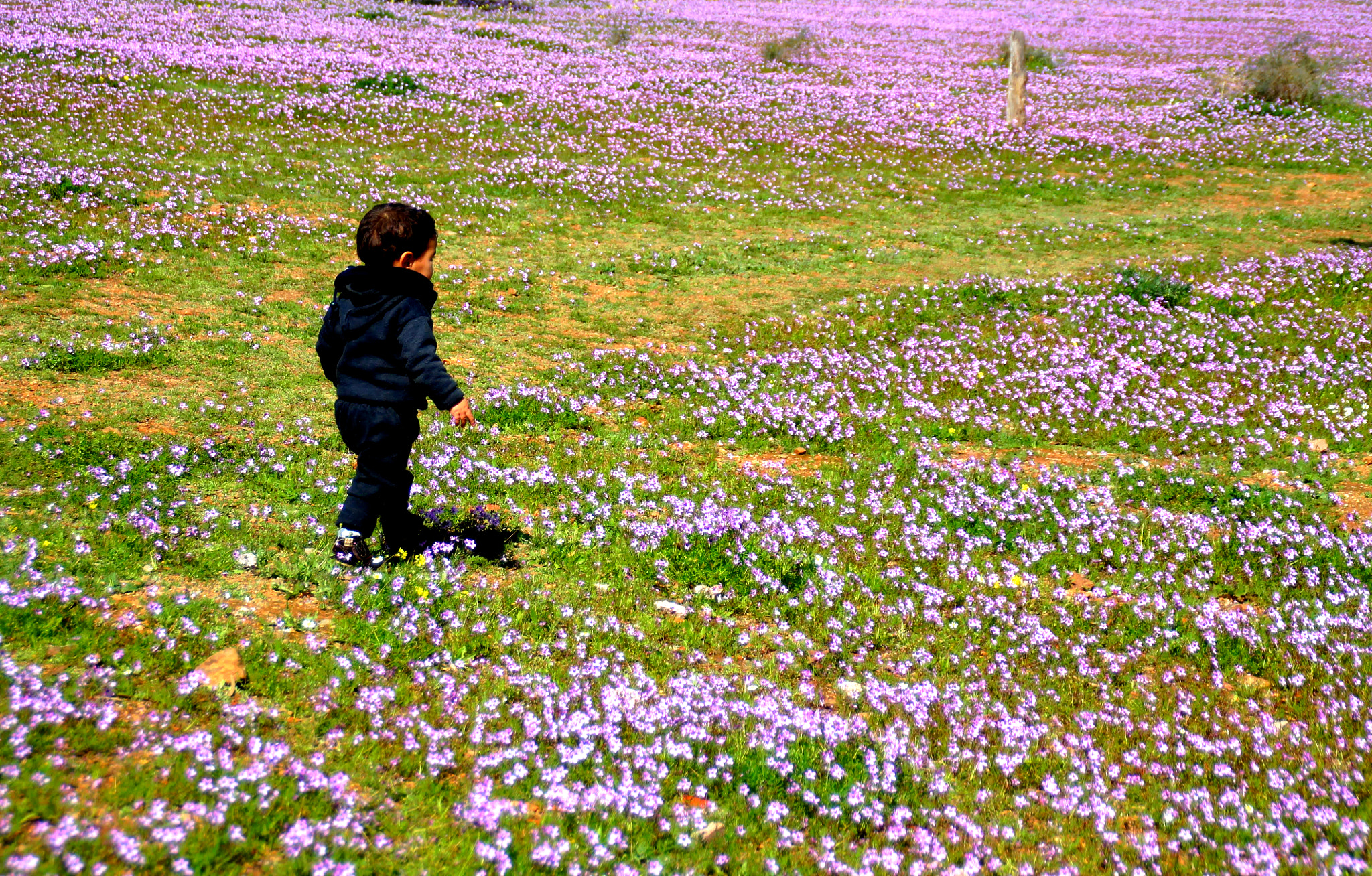Canon EOS 1100D (EOS Rebel T3 / EOS Kiss X50) sample photo. Springtime at marrakech region photography