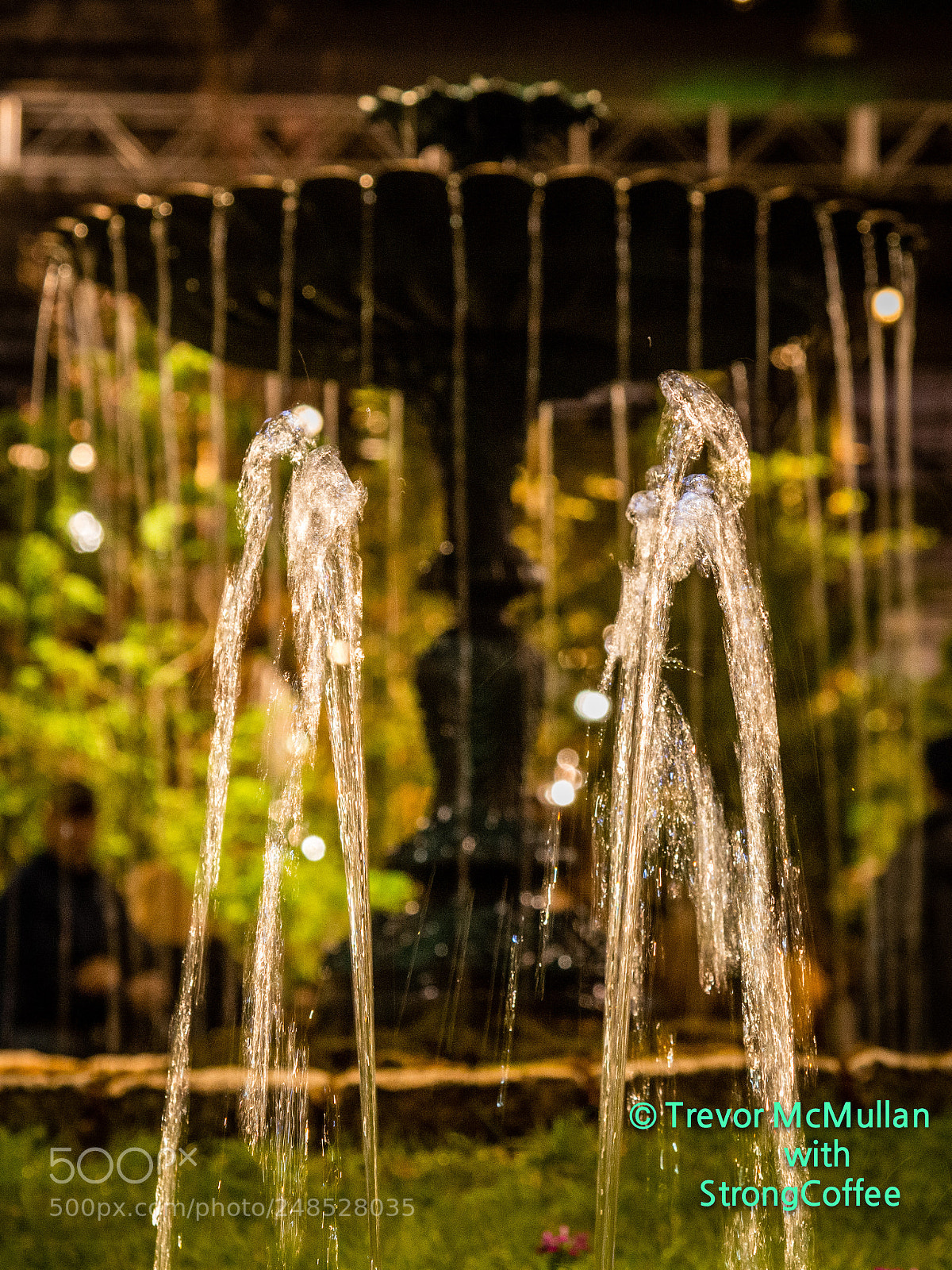 Nikon D800 sample photo. Play on water photography