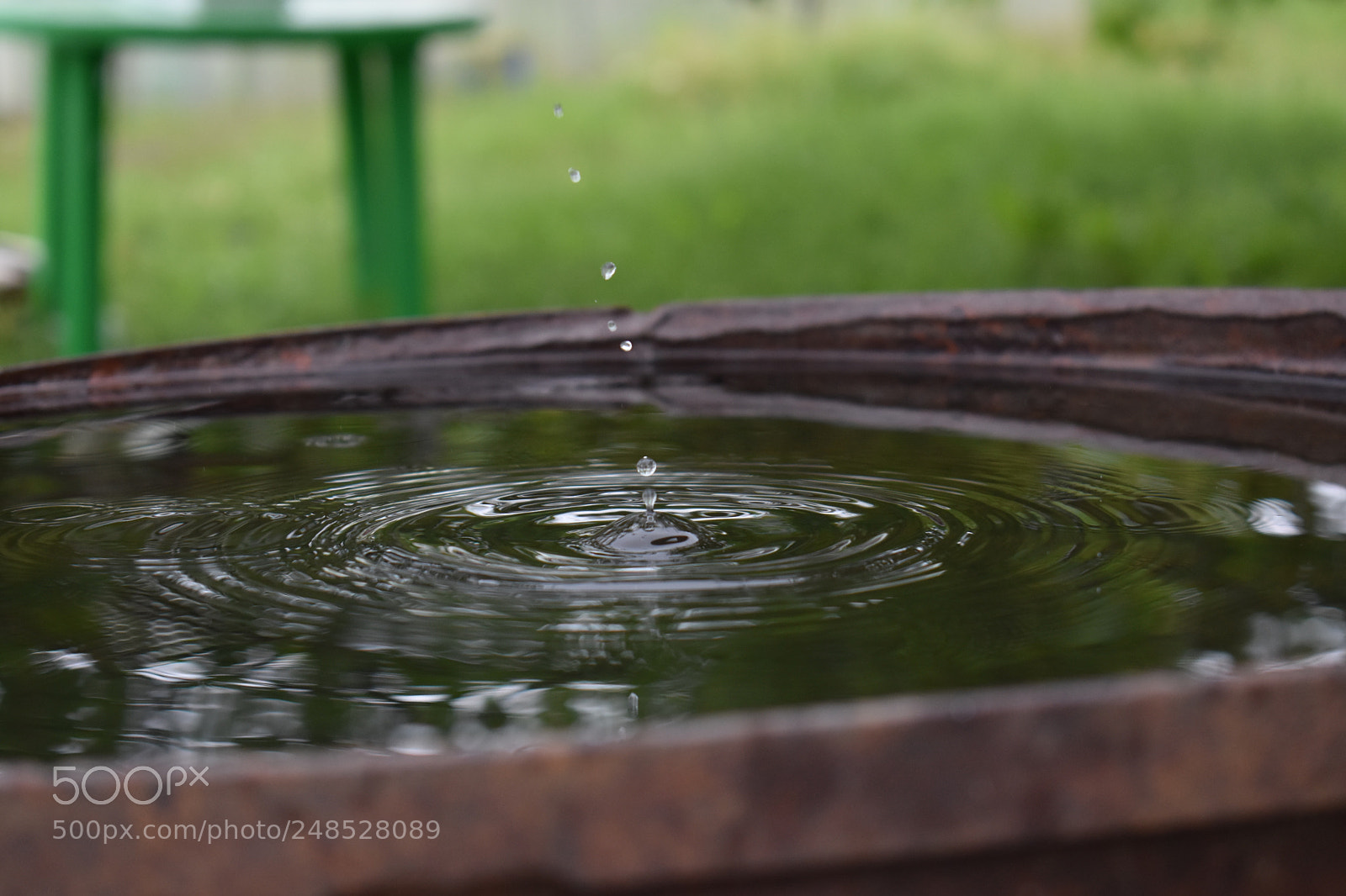 Nikon D3400 sample photo. Untitled photography