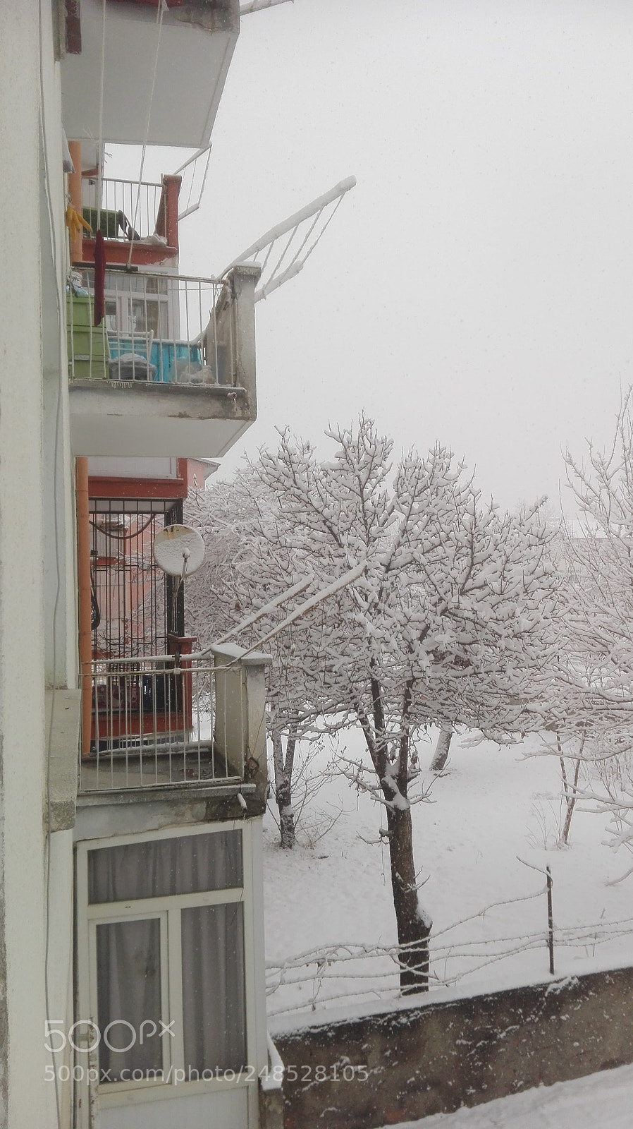 HUAWEI P8 Lite sample photo. Winter in the backyard photography
