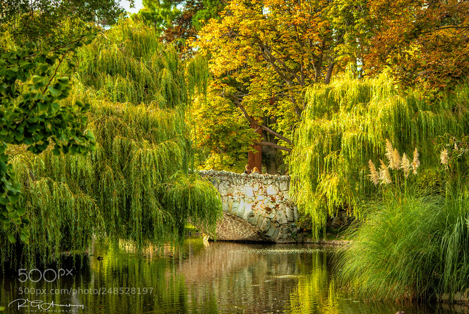 Pentax K200D sample photo. Beacon hill park photography