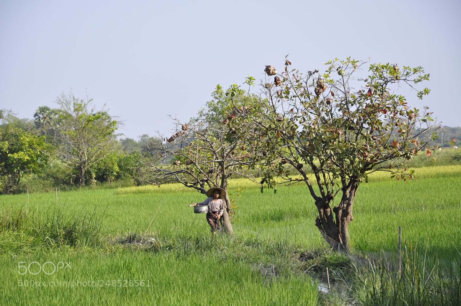 Nikon D90 sample photo. Hpa an,myanmar photography