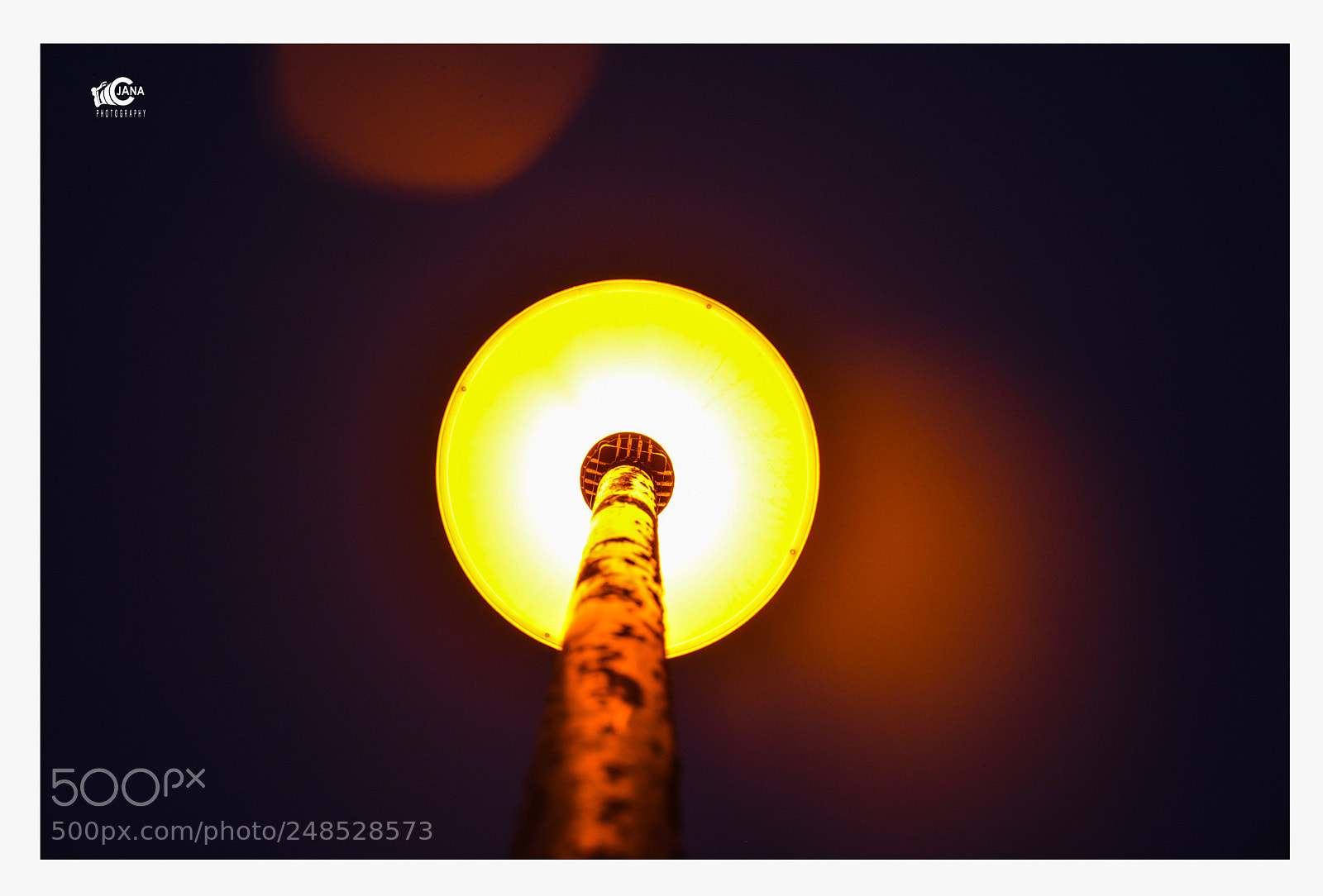 Nikon D5200 sample photo. Untitled photography