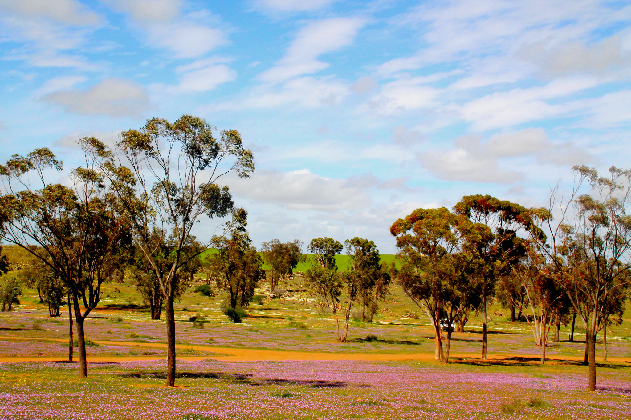 Canon EOS 1100D (EOS Rebel T3 / EOS Kiss X50) sample photo. Springtime at marrakech region photography