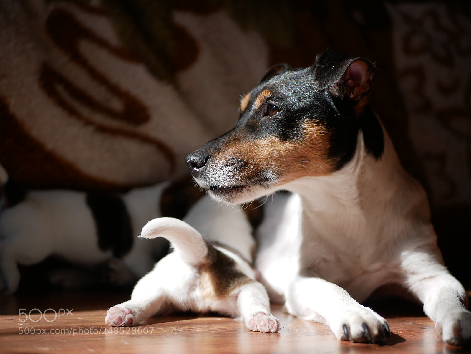 Panasonic Lumix DMC-GX85 (Lumix DMC-GX80 / Lumix DMC-GX7 Mark II) sample photo. P photography