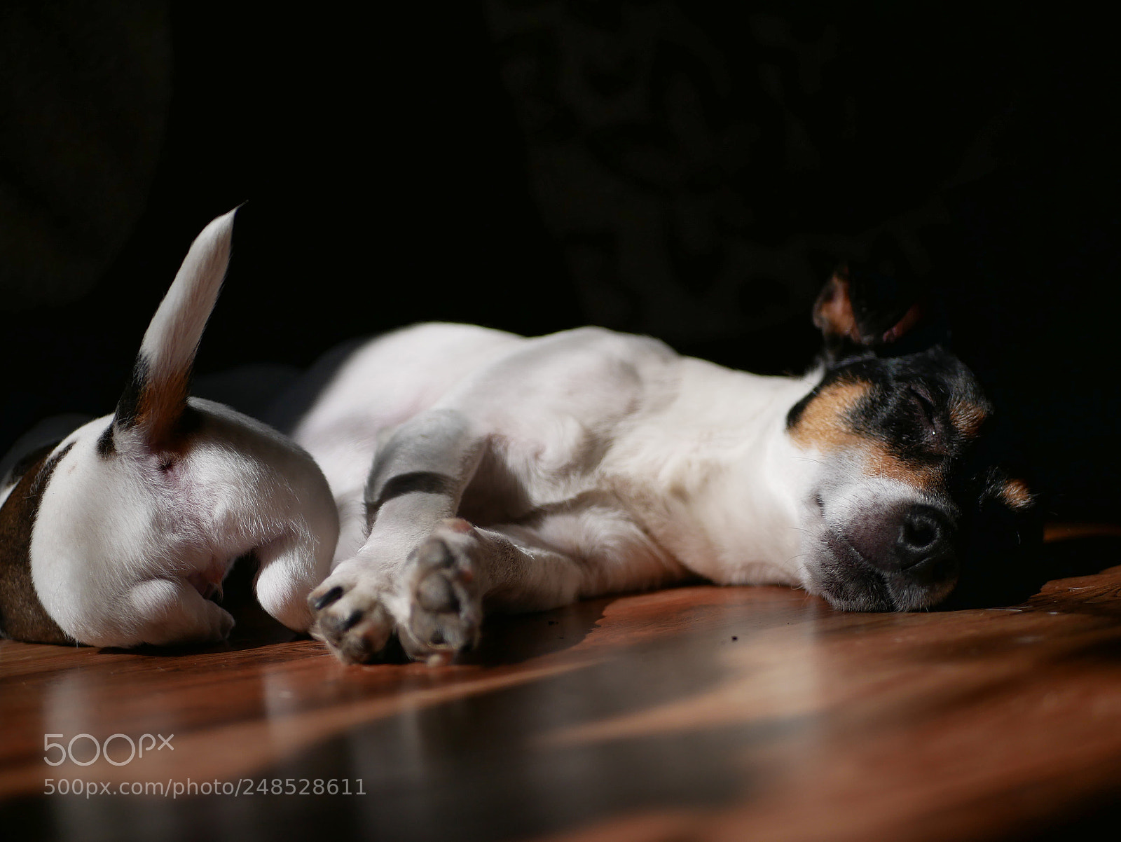 Panasonic Lumix DMC-GX85 (Lumix DMC-GX80 / Lumix DMC-GX7 Mark II) sample photo. P photography