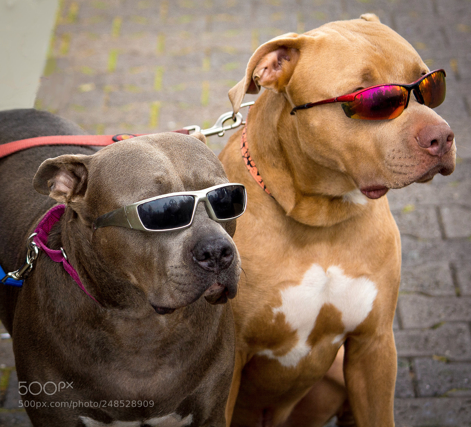 Nikon D5200 sample photo. 44.jpg photography