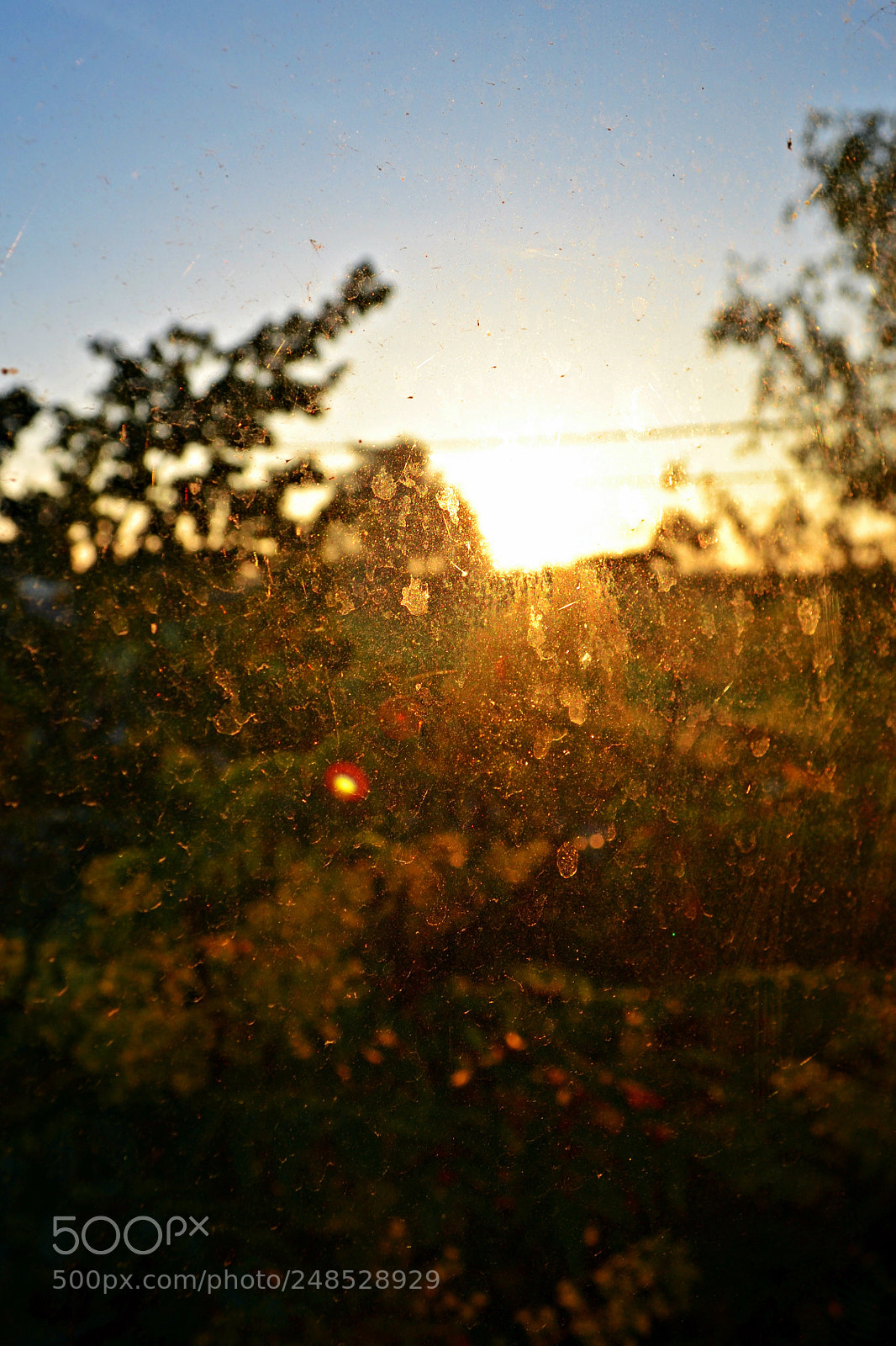 Nikon D3100 sample photo. D a y b photography