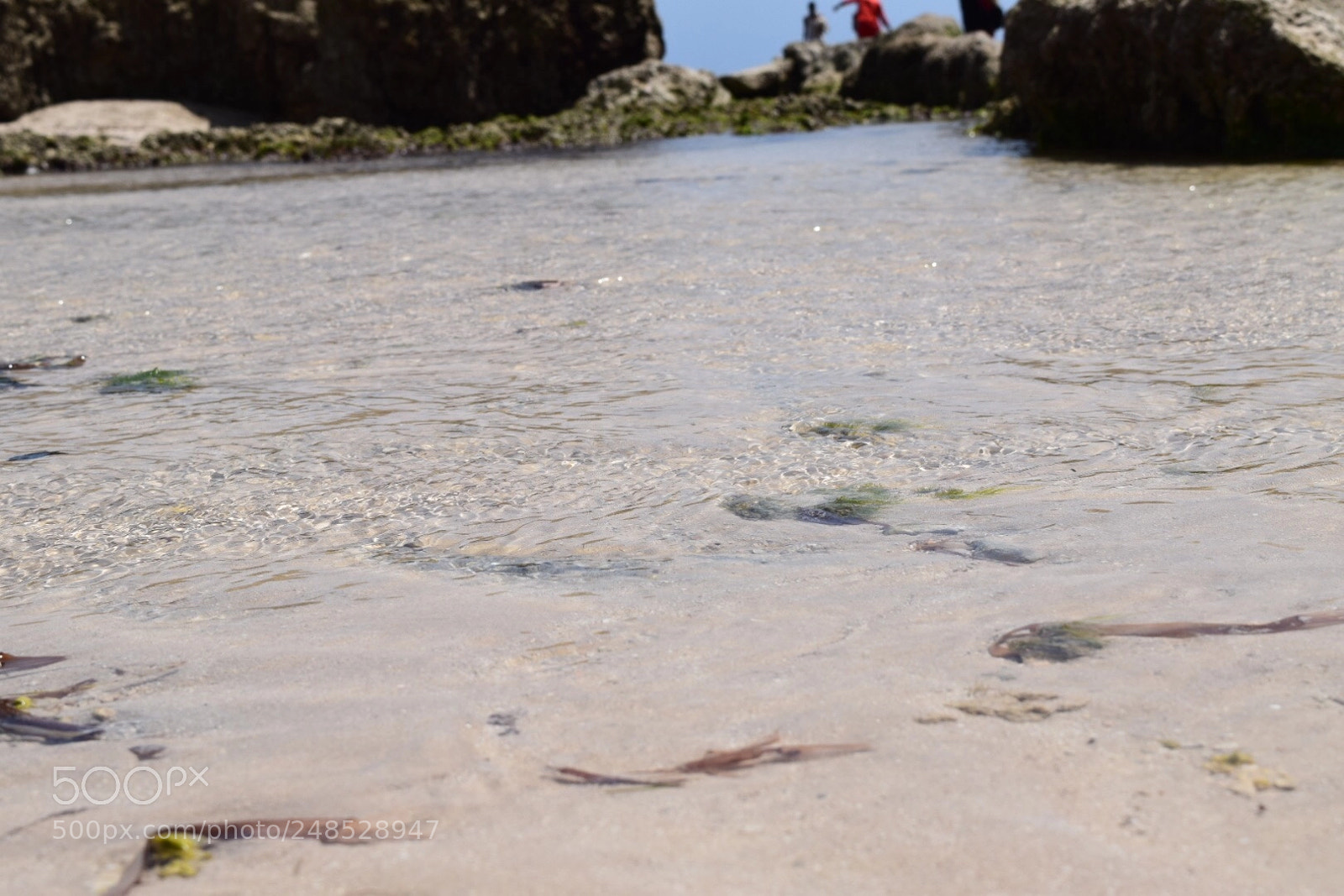 Nikon D5300 sample photo. Clear flow photography