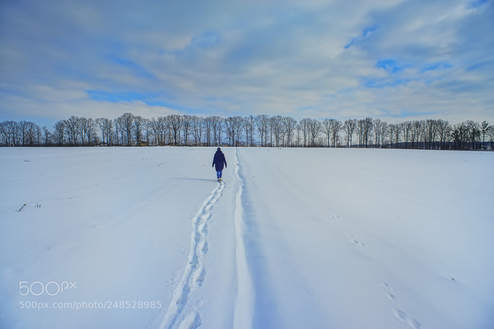 Nikon D800E sample photo. Field photography