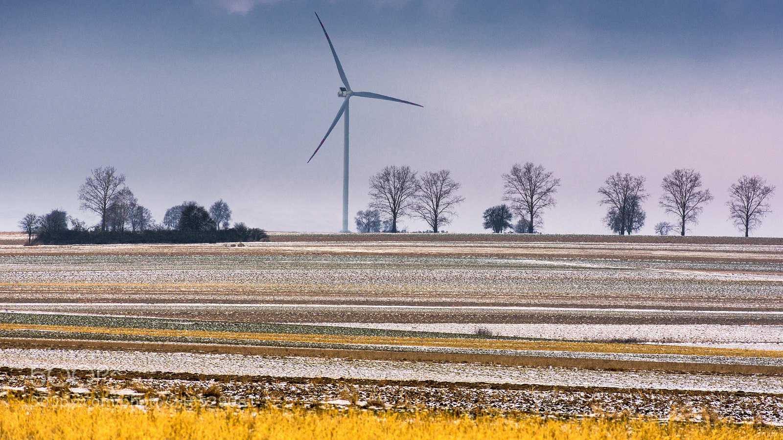 Nikon D7200 sample photo. Colours of winter iv photography