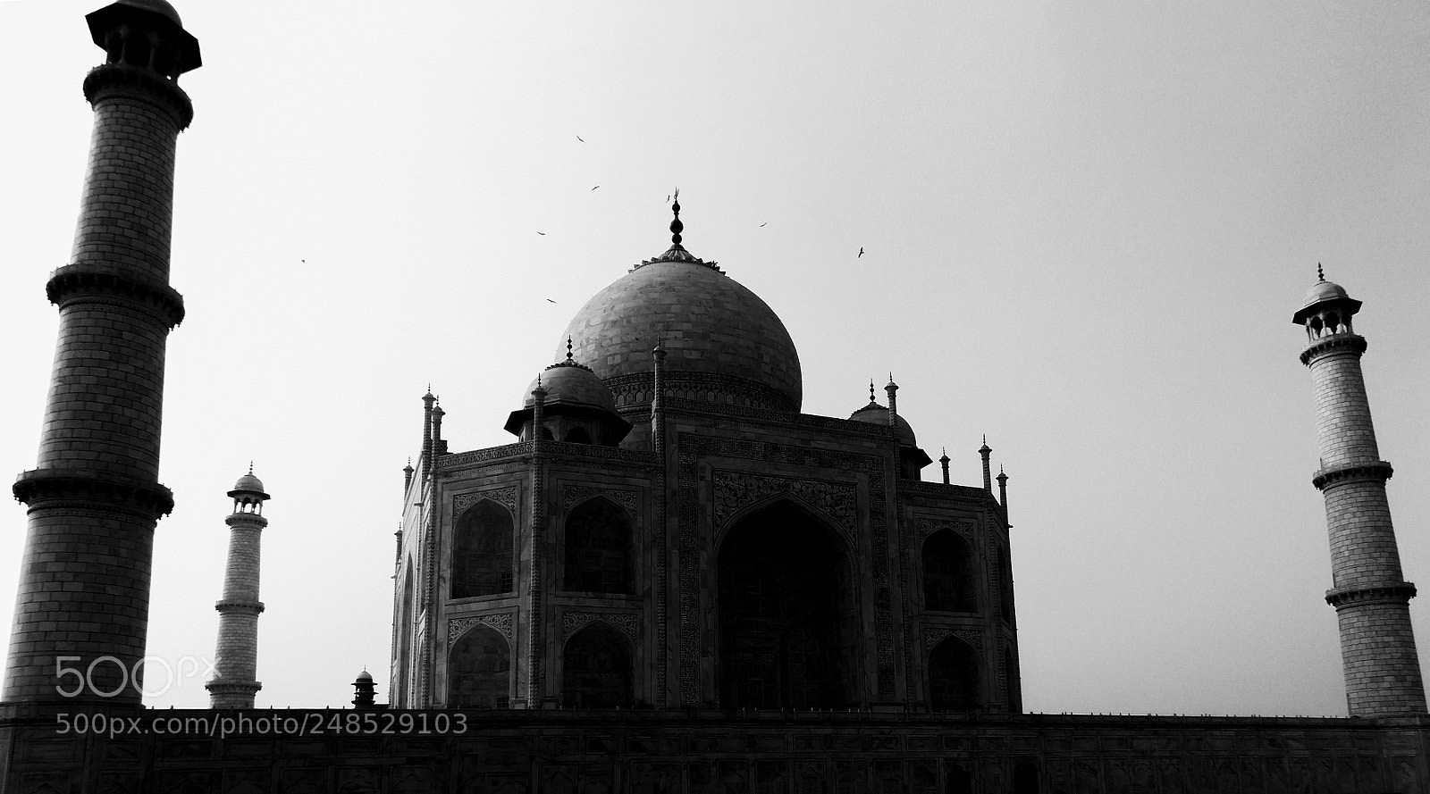 Nikon Coolpix L810 sample photo. Taj mahal photography