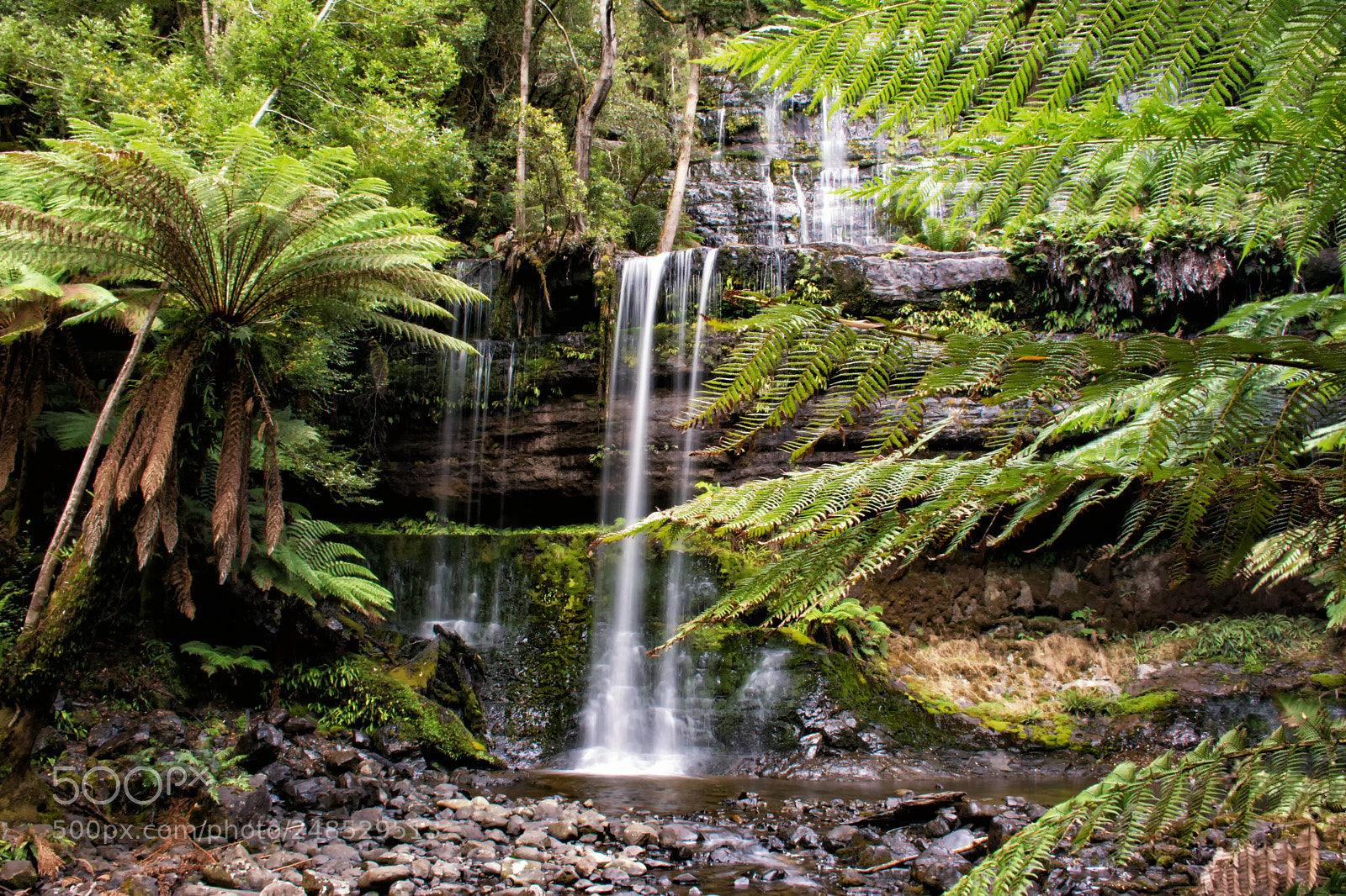 Nikon D7100 sample photo. Russel fall photography