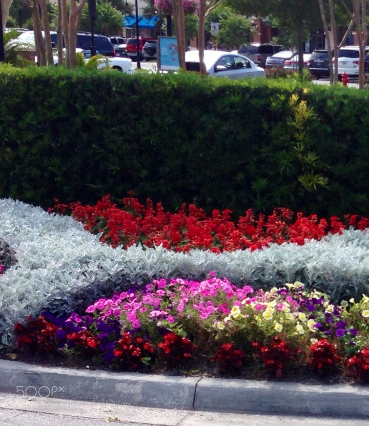 Apple iPhone 5 sample photo. Come on spring photography