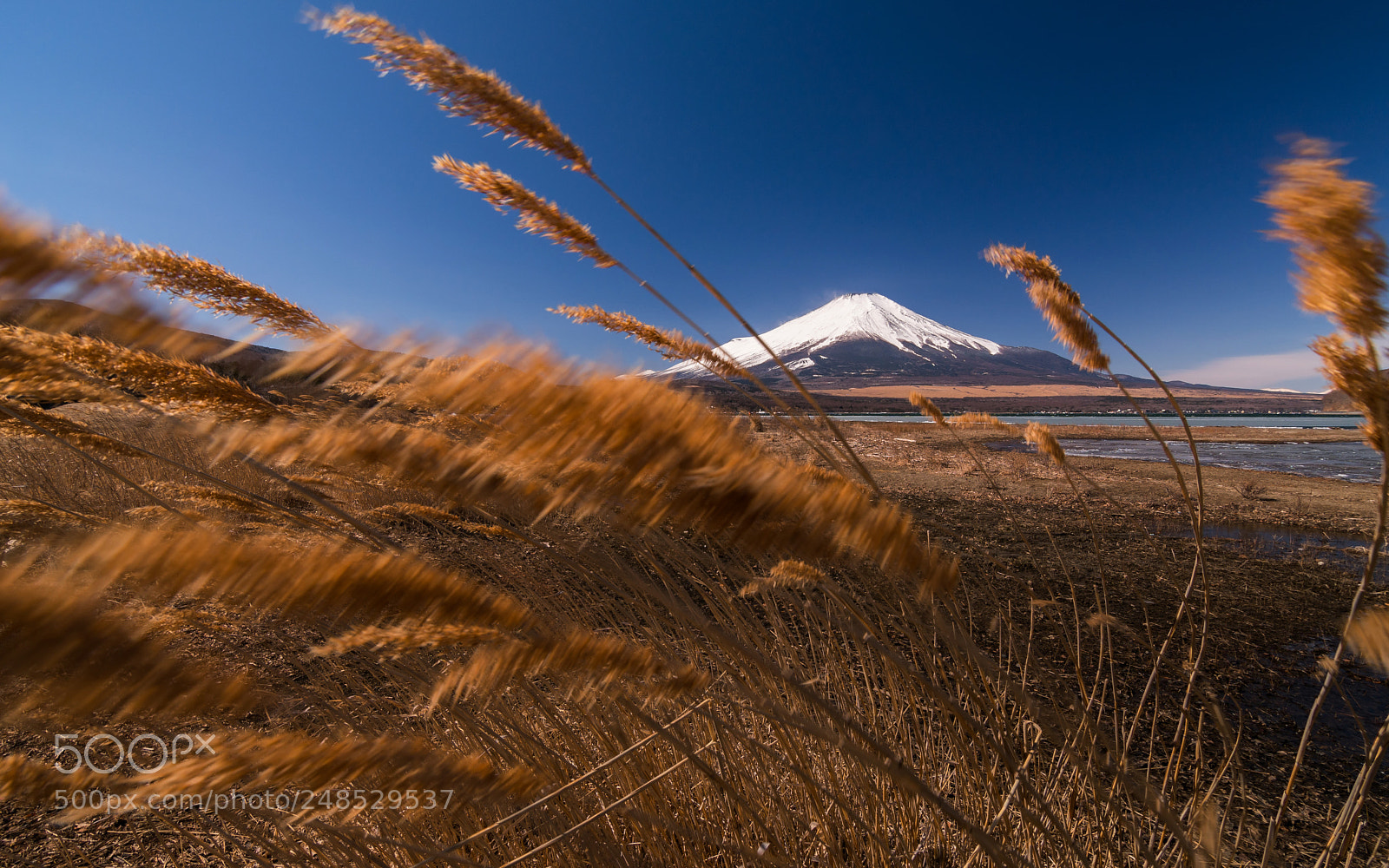 Sony a6300 sample photo. Fuji mt at yamanakako photography
