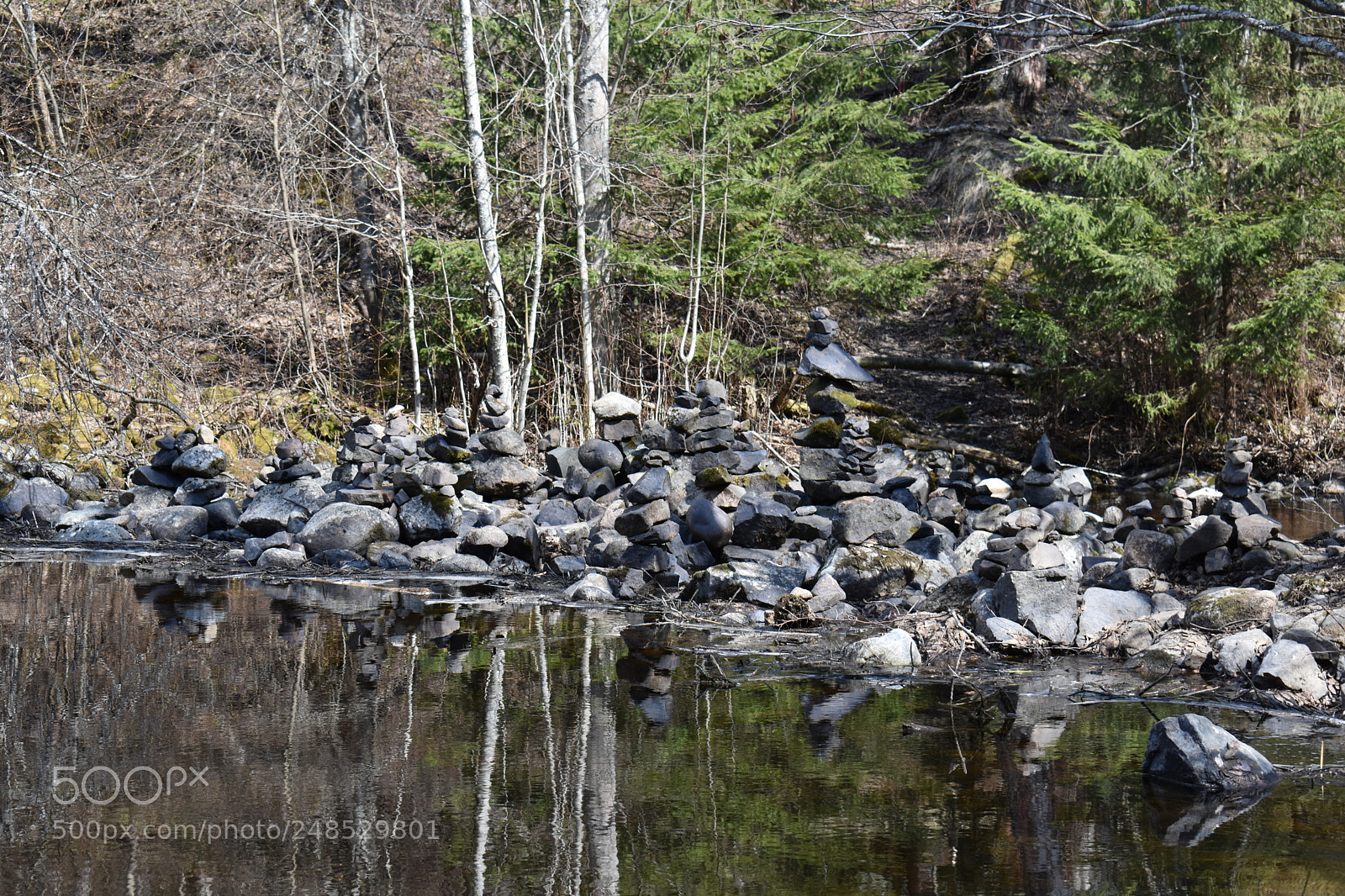 Nikon D3400 sample photo. Untitled photography