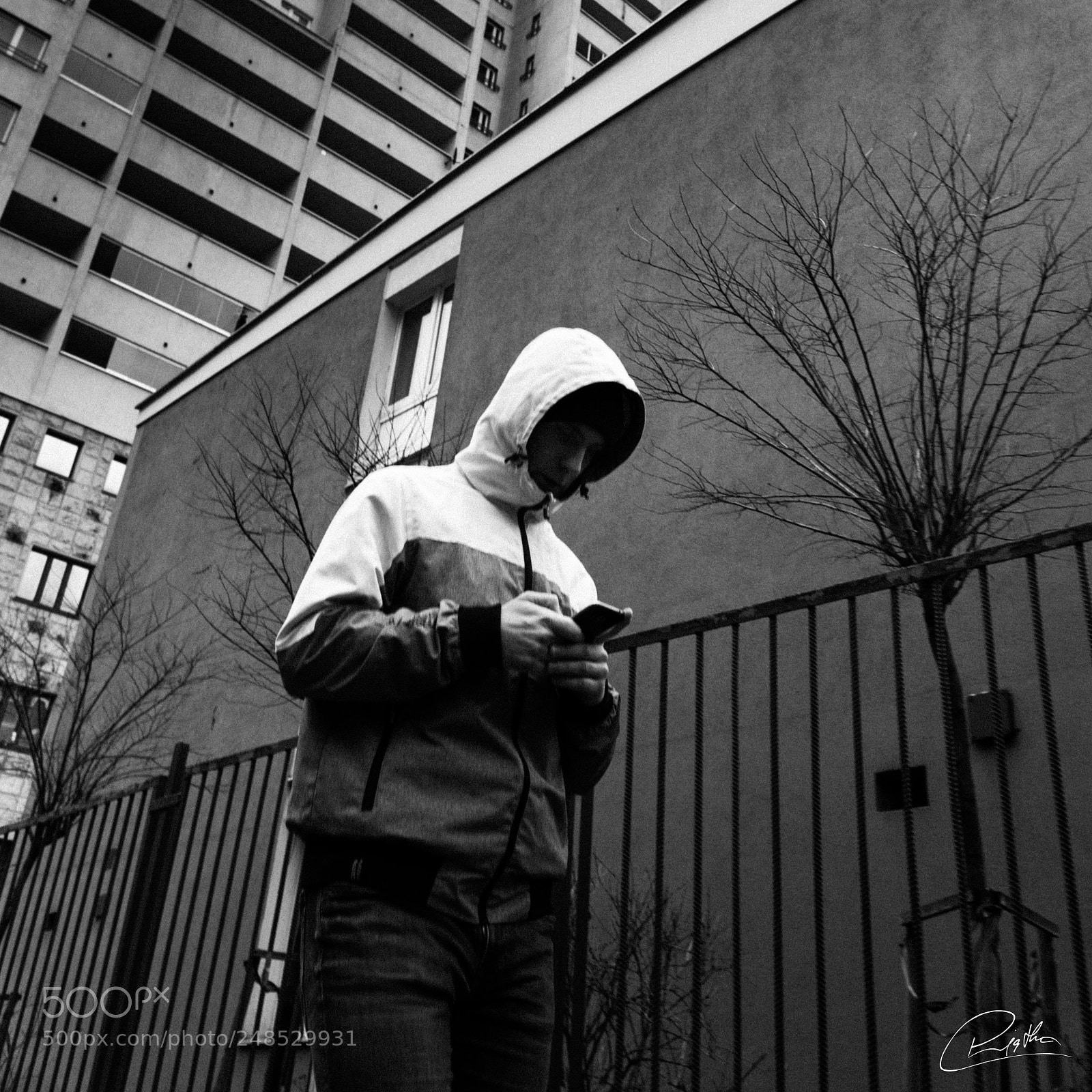 Sony a6300 sample photo. Hood photography