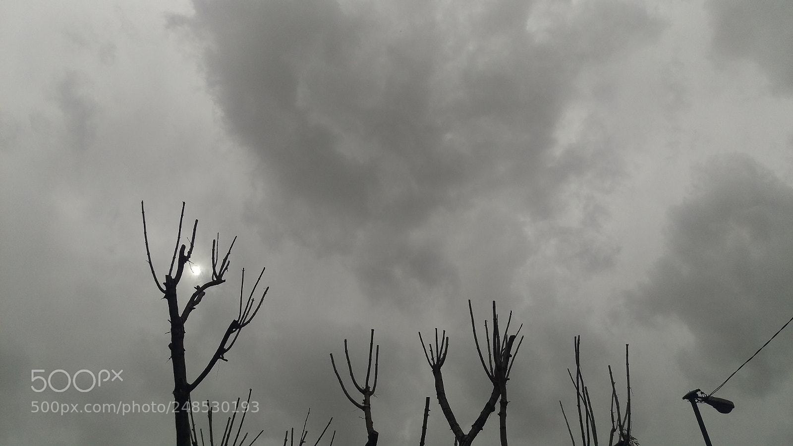 HTC ONE M9 sample photo. The pearl and the photography