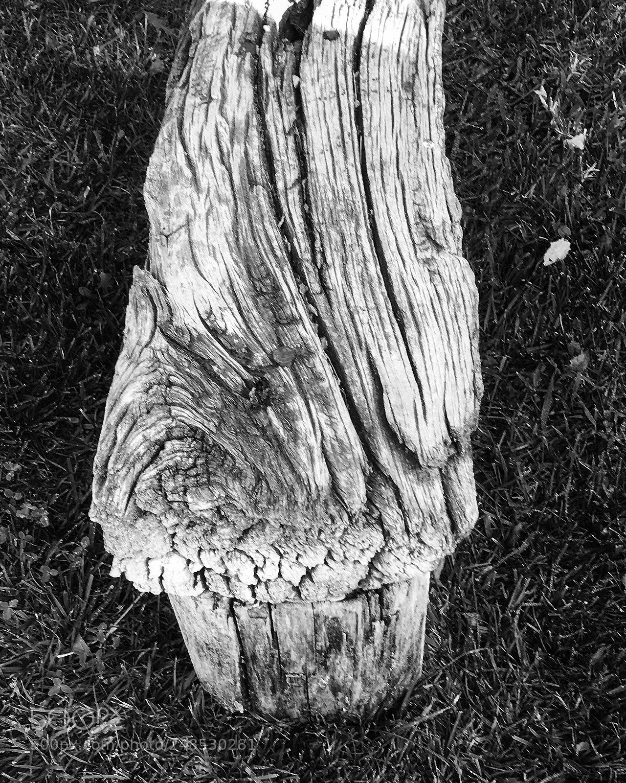 Apple iPhone 6s sample photo. Untitled photography