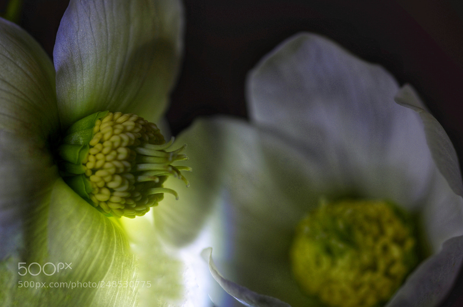 Pentax K-3 sample photo. ?-?... photography