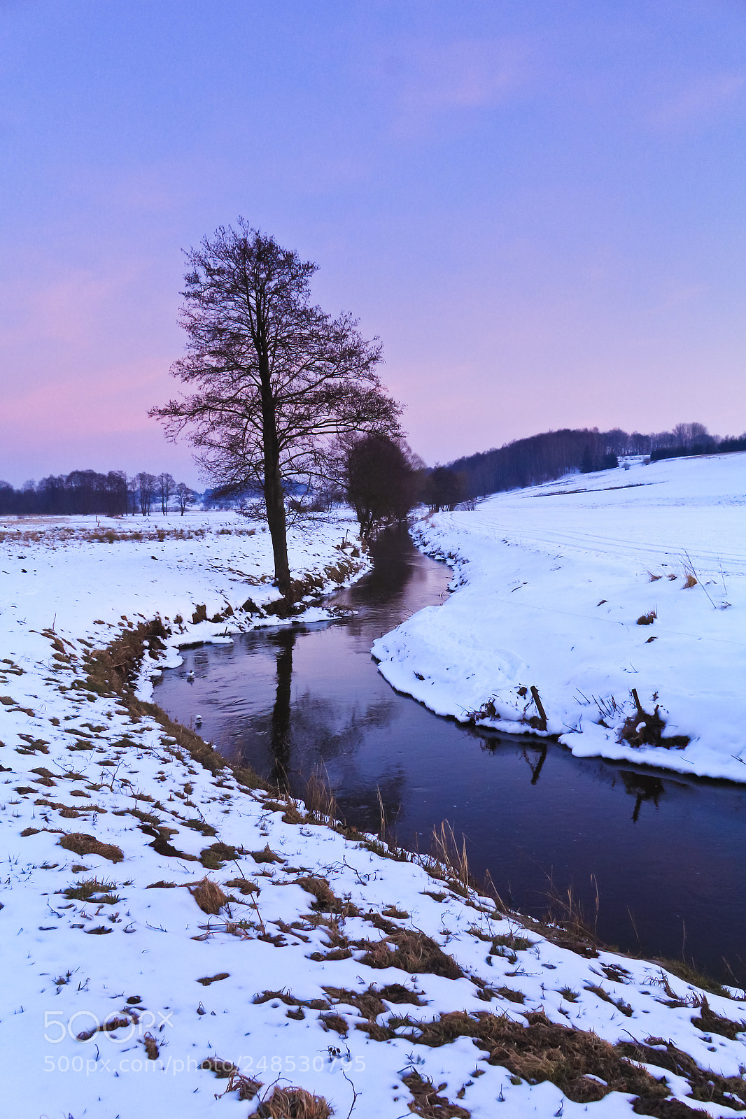 Canon EOS 1200D (EOS Rebel T5 / EOS Kiss X70 / EOS Hi) sample photo. Winter purple sky photography