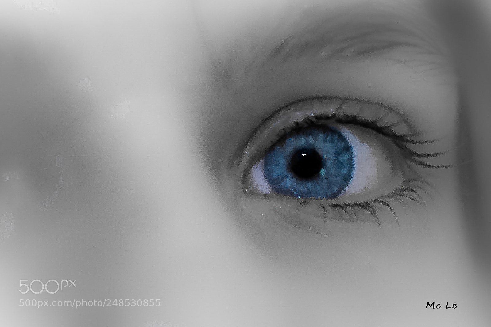 Nikon D7100 sample photo. One blue eye photography
