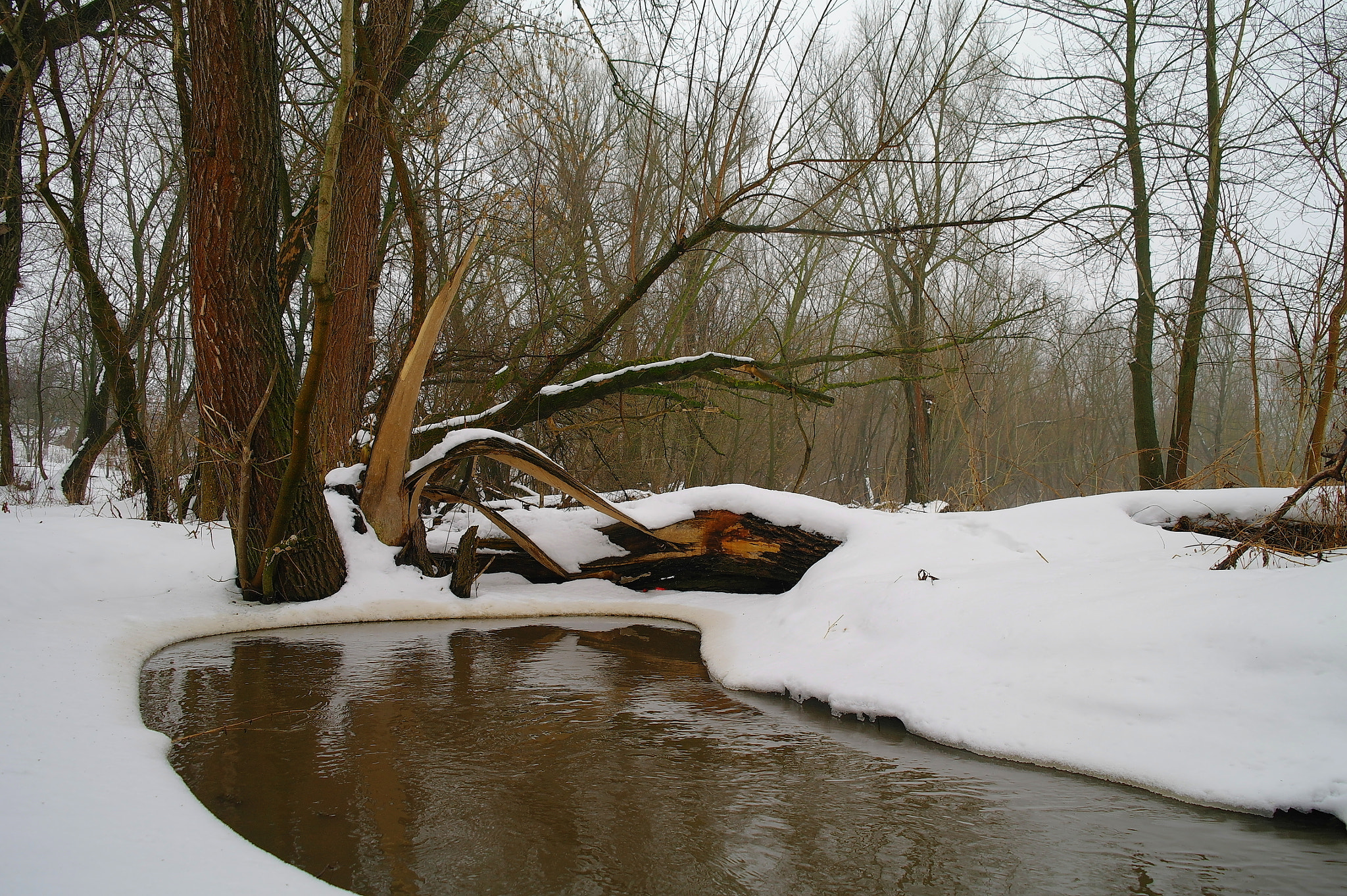 Samsung NX5 sample photo. Winter photography
