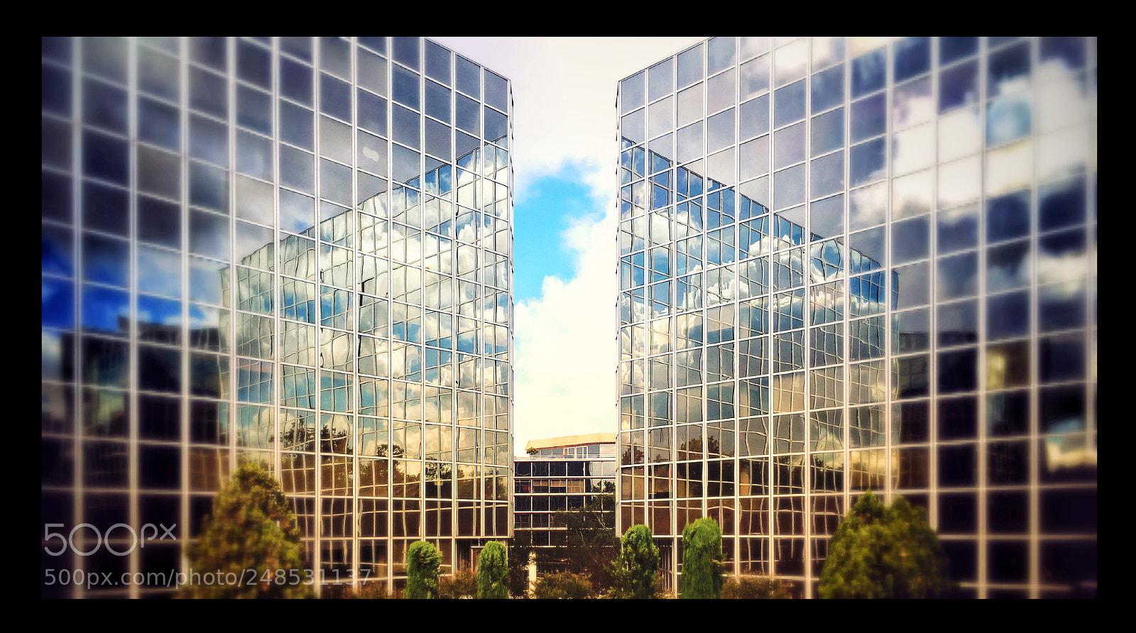 Apple iPhone SE sample photo. Untitled photography