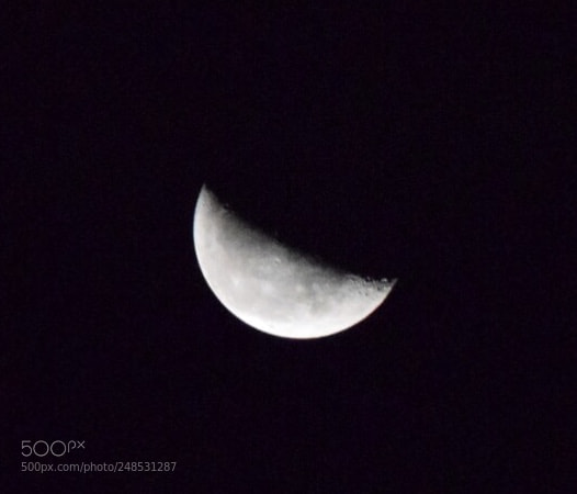 Nikon D5300 sample photo. Amidst the dark photography