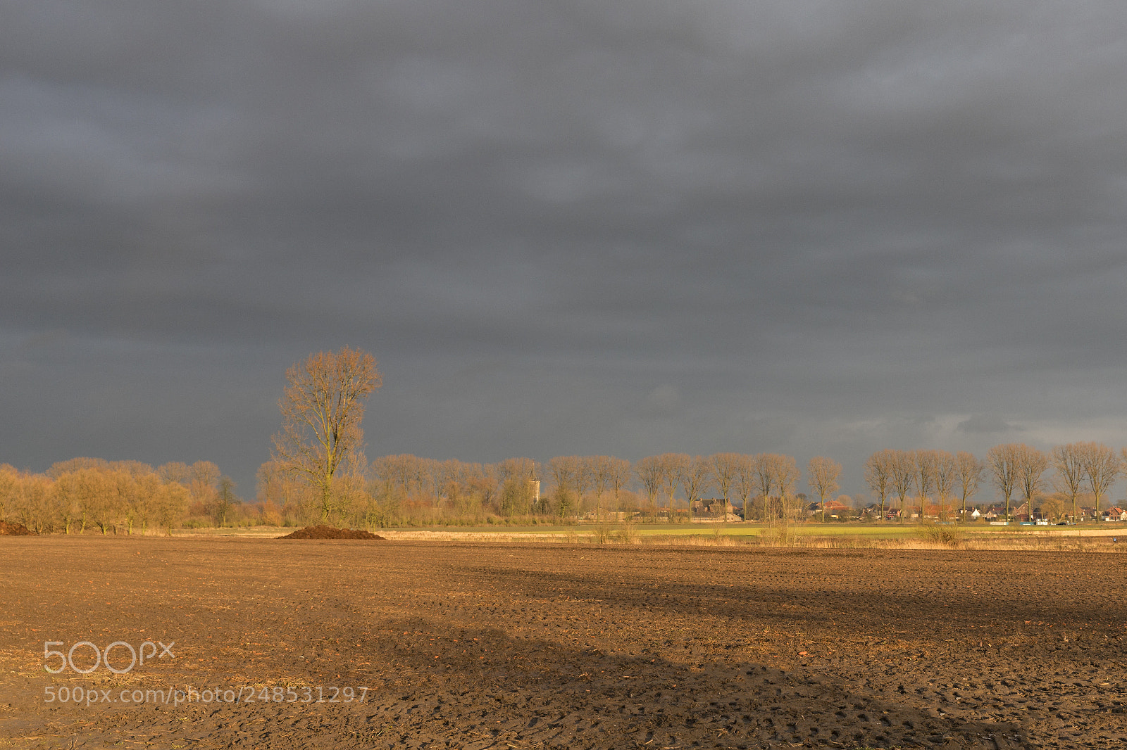 Canon EOS 6D Mark II sample photo. Golden hour photography
