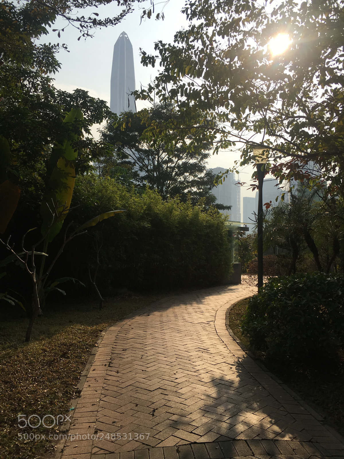 Apple iPhone 6s Plus sample photo. Untitled photography