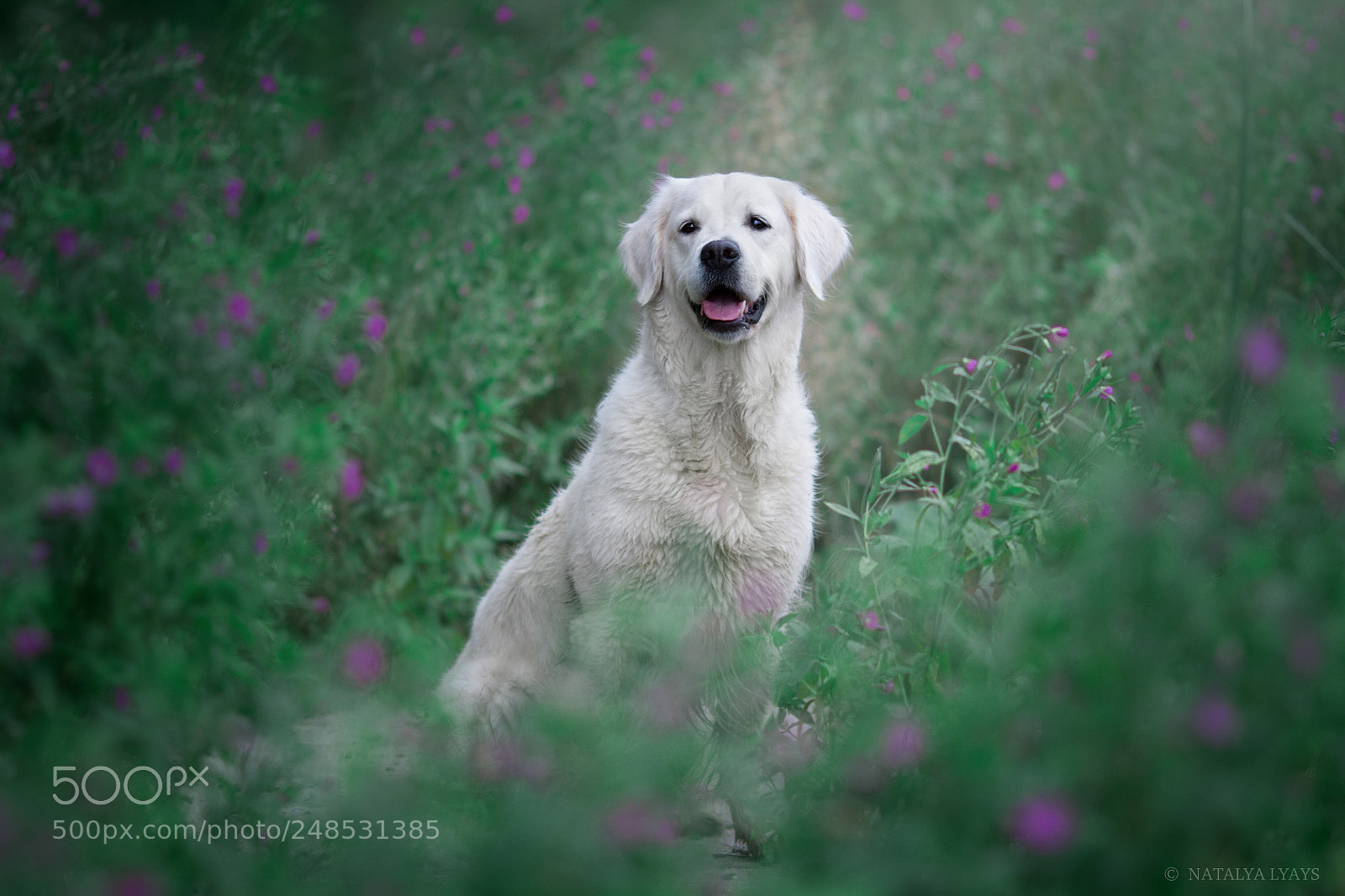 Canon EOS 7D sample photo. Spring mood photography