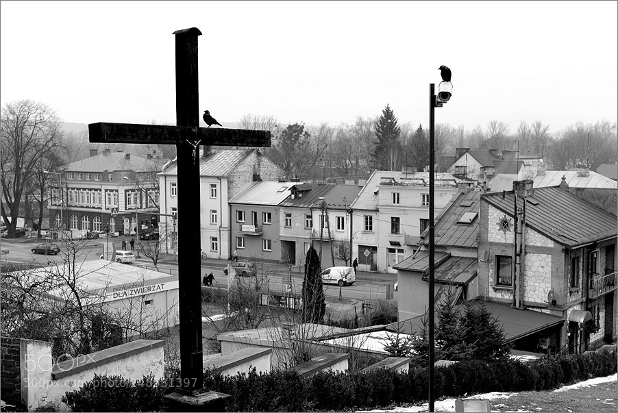 Nikon D610 sample photo. Surveillance photography