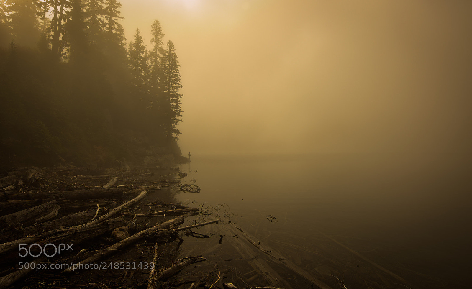 Nikon D5300 sample photo. Fishing in the mist photography