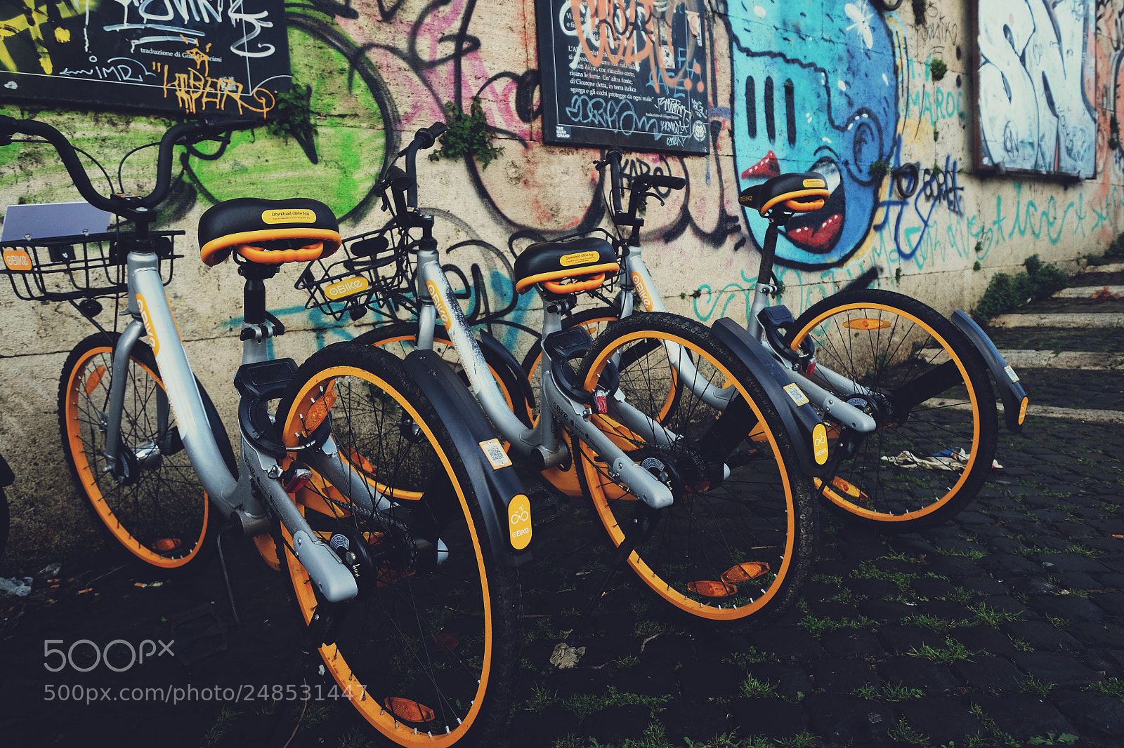 Fujifilm X-E2 sample photo. Orange photography