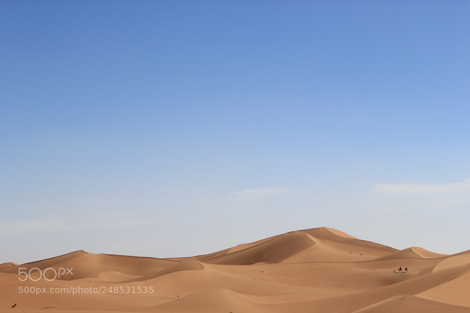 Canon EF-S 18-55mm F3.5-5.6 IS sample photo. Sand dunes photography