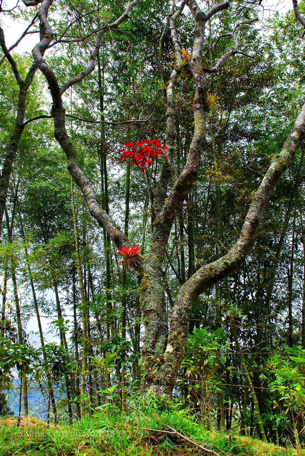 Nikon D80 sample photo. Untitled photography