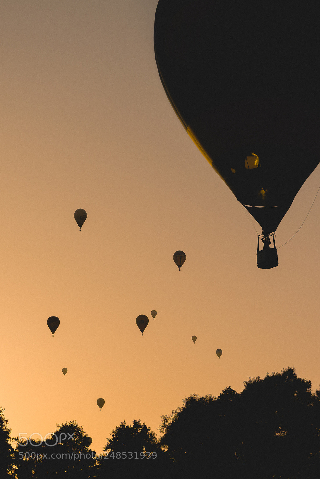 Nikon D3100 sample photo. Baloon race photography