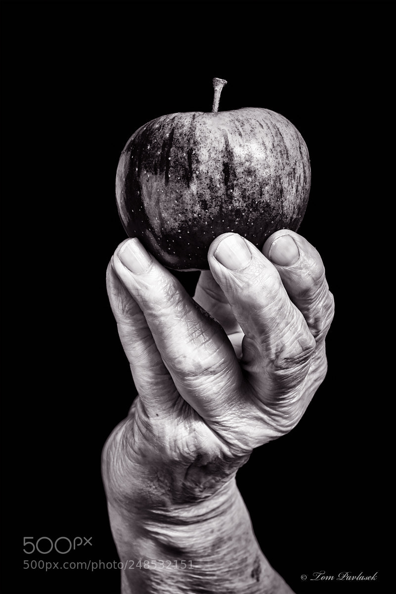 Nikon D600 sample photo. Senior hand photography