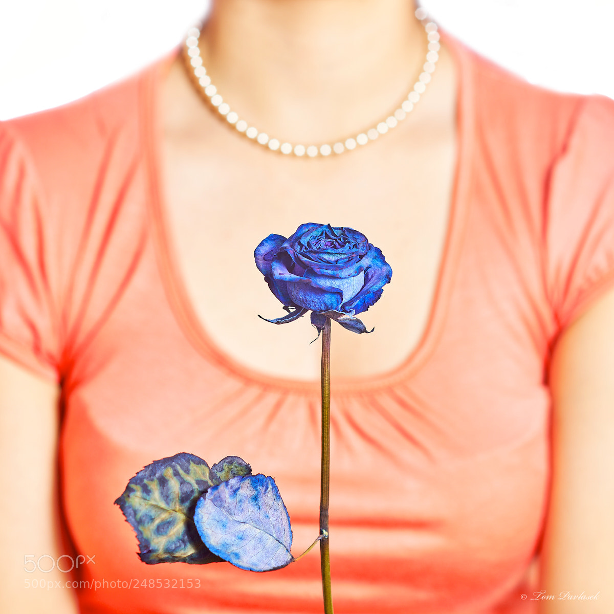 Nikon D600 sample photo. Blue rose and decollete photography