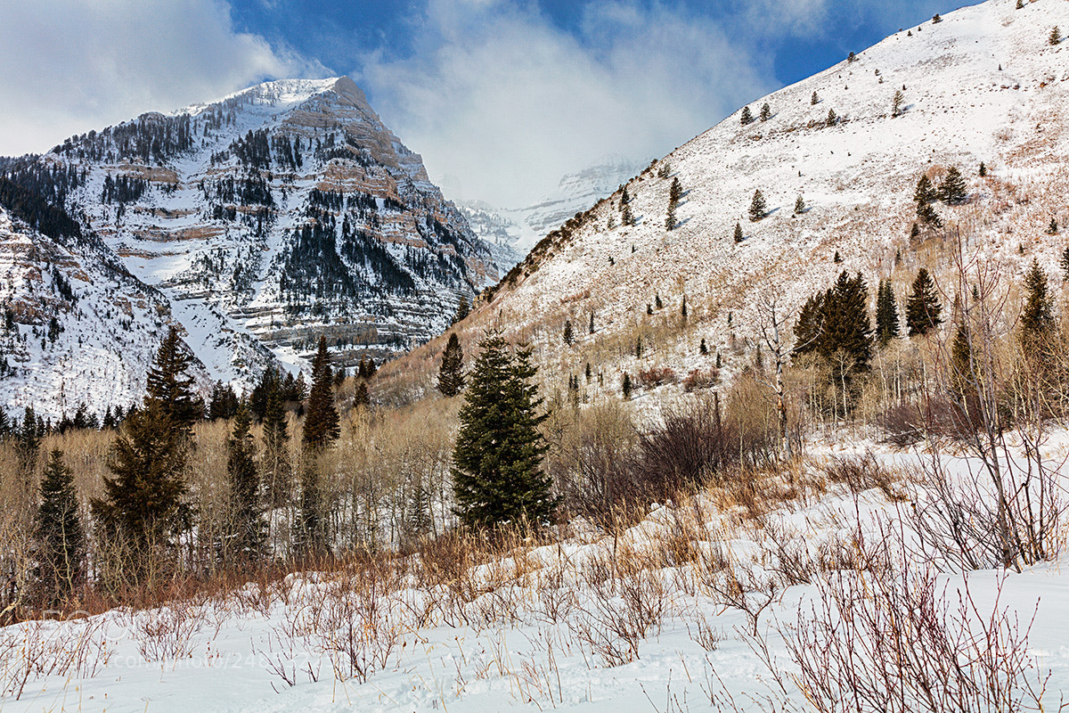 Canon EOS 5DS R sample photo. Roberts horn photography