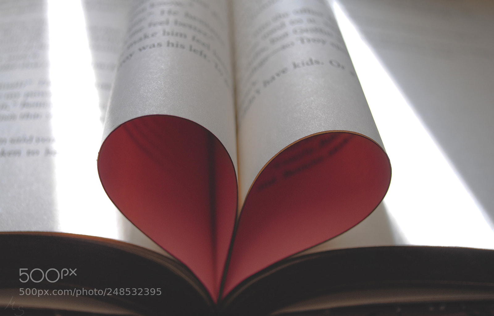 Nikon D3000 sample photo. Lovers book photo with photography