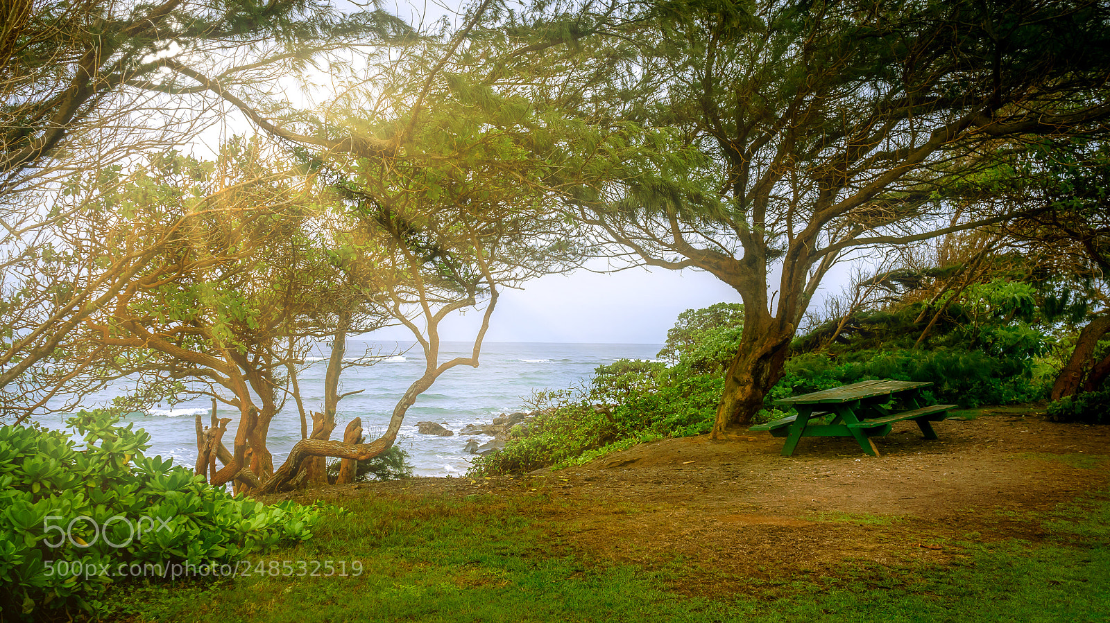 Sony Alpha NEX-5R sample photo. Bench by the sea photography