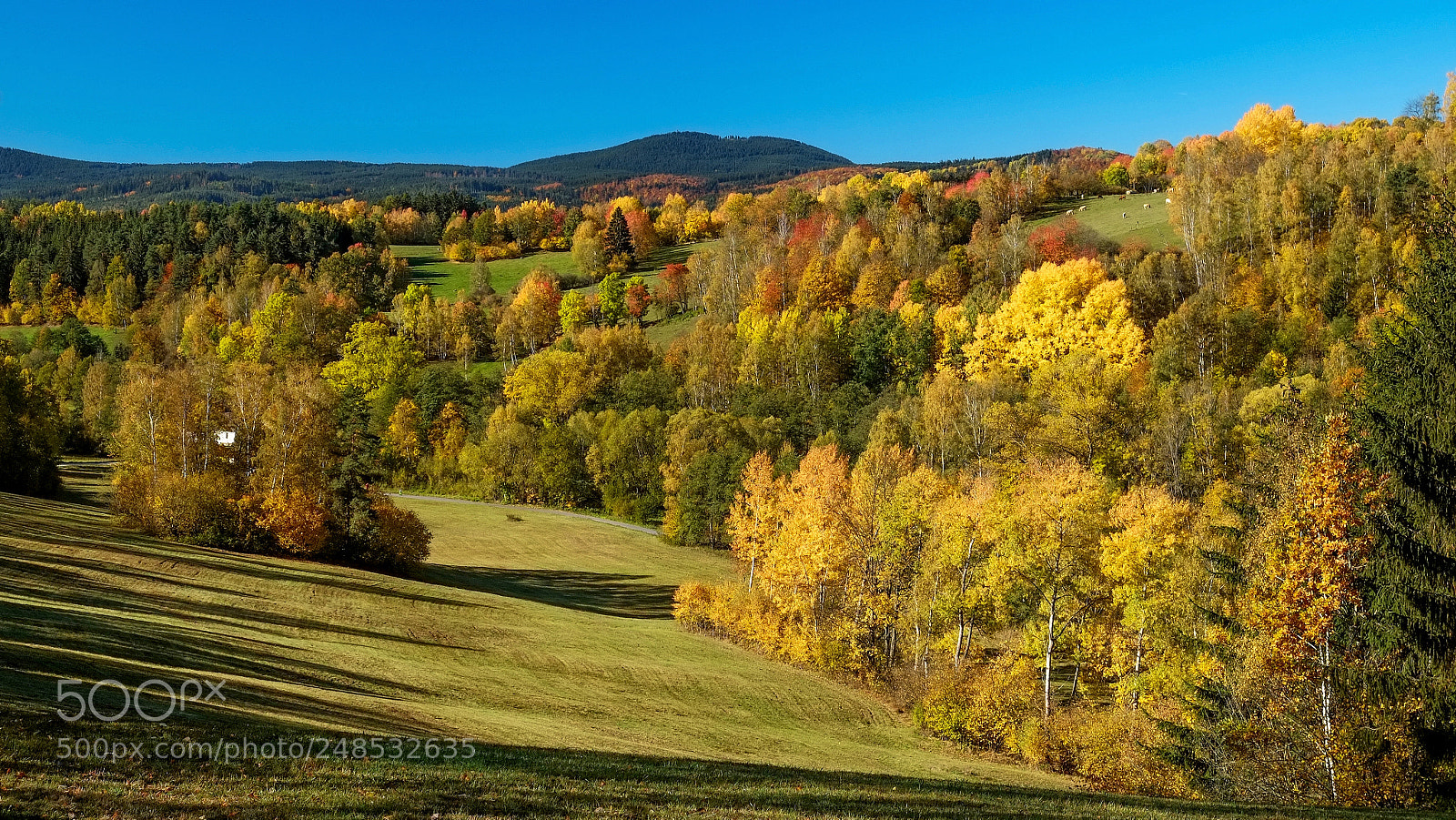 Fujifilm X-E1 sample photo. United colours of fall photography