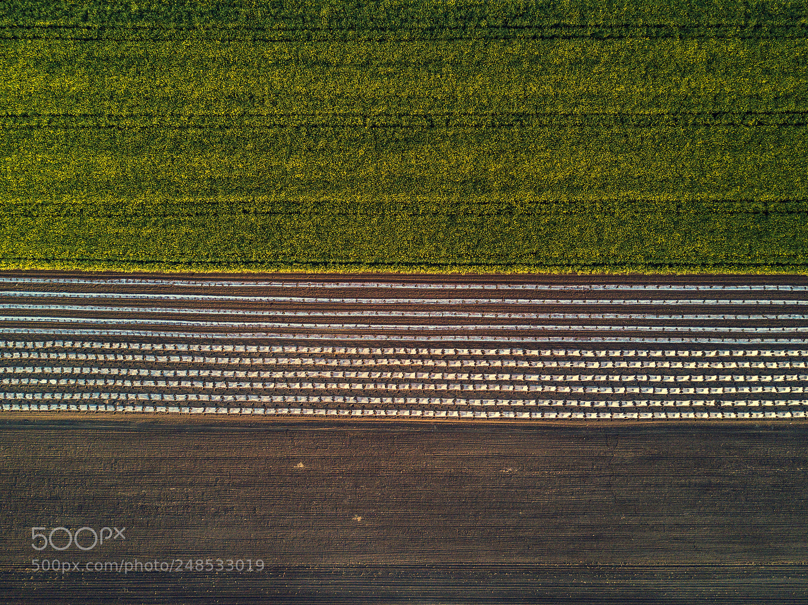 DJI FC220 sample photo. Aerial view of cultivated photography