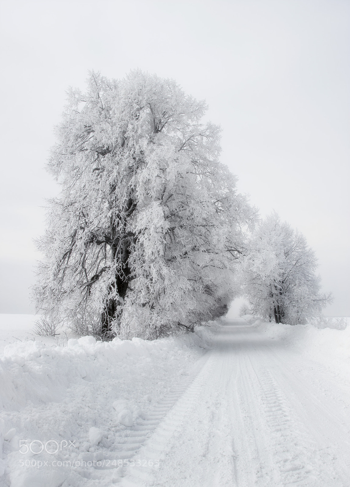 Canon EOS 80D sample photo. Alagút photography